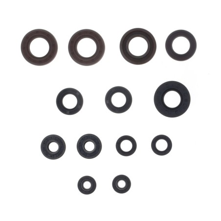 Kit de retenes de motor CENTAURO