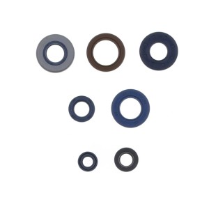 Kit de retenes de motor CENTAURO