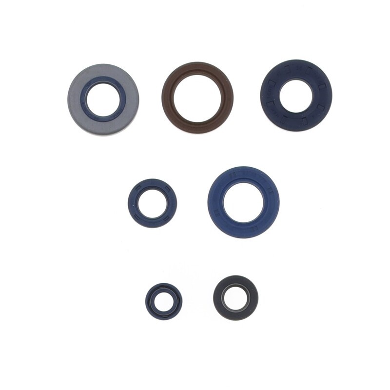 Kit de retenes de motor CENTAURO