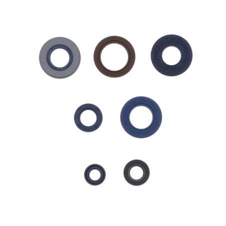 Kit de retenes de motor CENTAURO