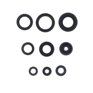 Kit de retenes de motor CENTAURO