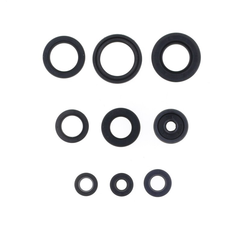 Kit de retenes de motor CENTAURO