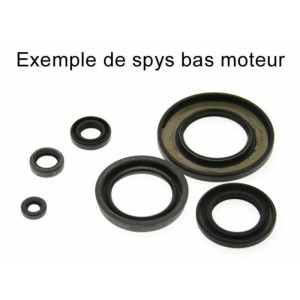 Kit de retenes de motor CENTAURO