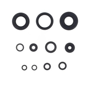 Kit de retenes de motor CENTAURO