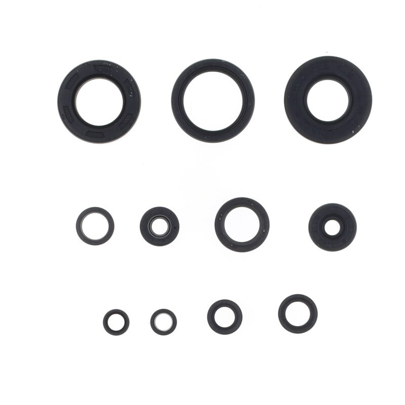 Kit de retenes de motor CENTAURO