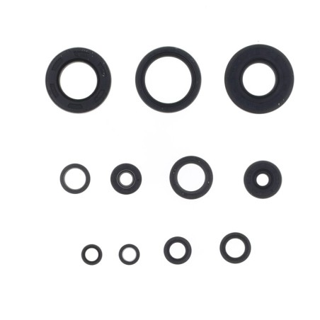 Kit de retenes de motor CENTAURO