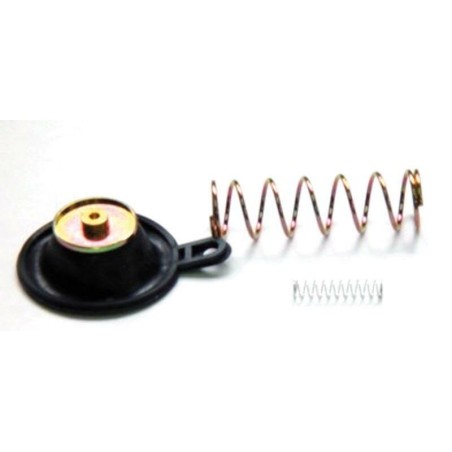 Kit Reparación bomba de enriquecimiento XV750 Virago '89-96 XV1100 ...