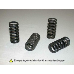 Kit muelles de embrague TOURMAX - FZR1000 '89-95 FZS1000 Fazer '01-...