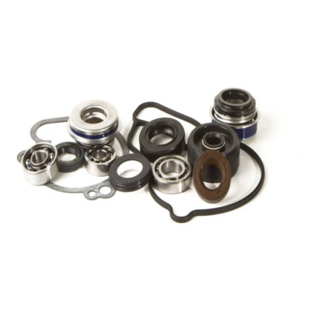Kit reparación bomba de agua Hot Rods WPK0016