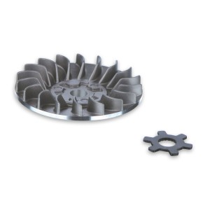 Semipolea fija MALOSSI