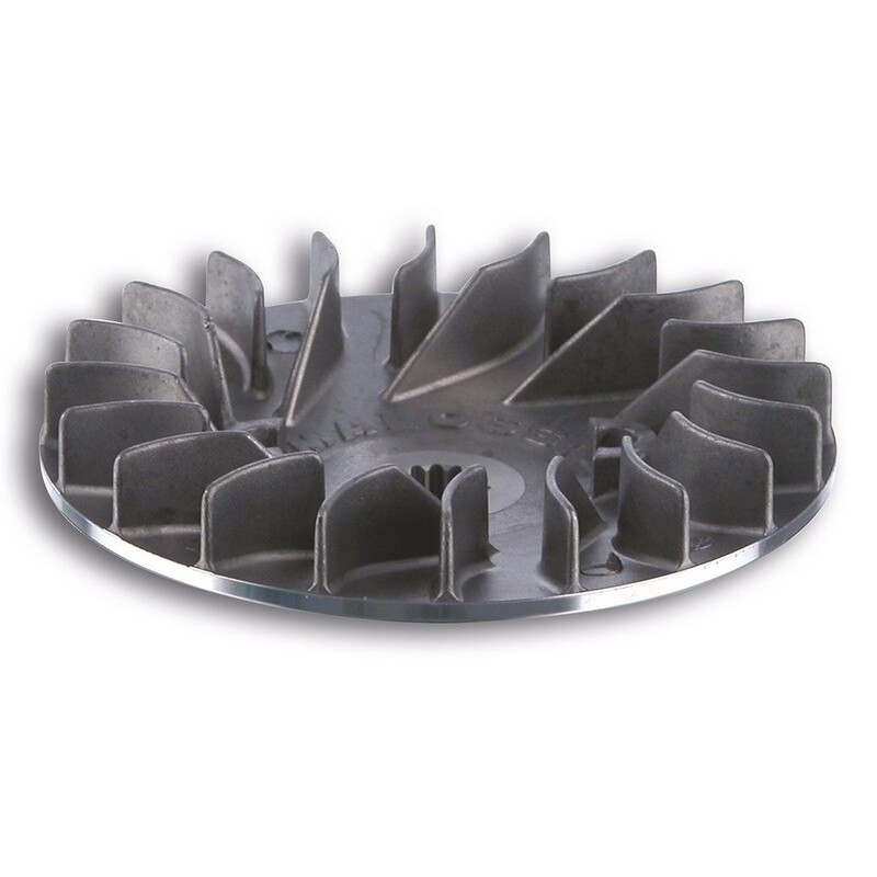 Semipolea fija MALOSSI