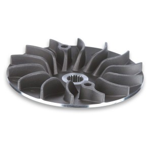 Semipolea fija MALOSSI