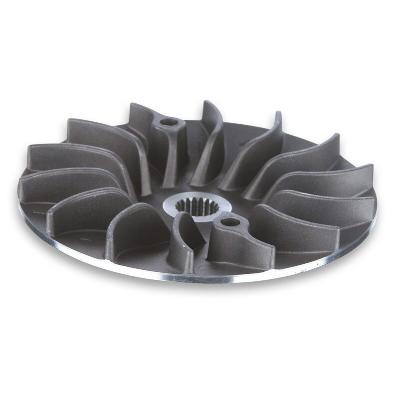 Semipolea fija MALOSSI