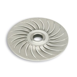 Semipolea fija MALOSSI