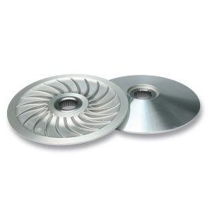 Semipolea fija MALOSSI