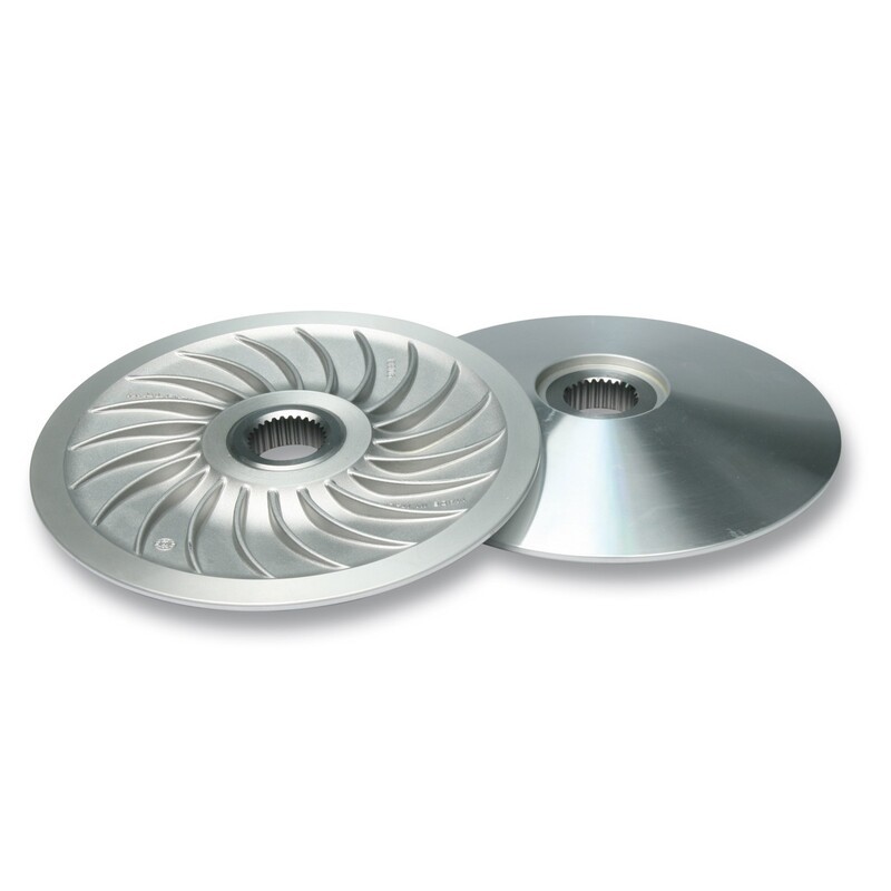 Semipolea fija MALOSSI