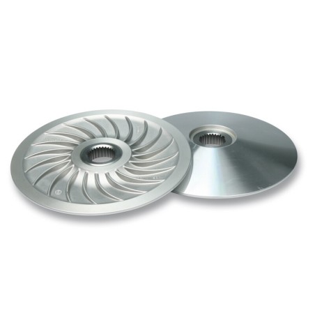 Semipolea fija MALOSSI