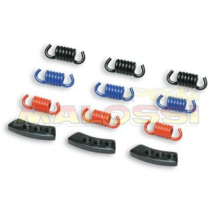 Kit de muelles de embrague MALOSSI MHR para embrague Delta y Fly Cl...