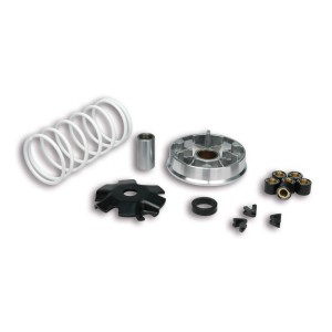 Variador Multivar Malossi KYMCO 2T AGILITY/DINK/SUPER8-9 51 9988