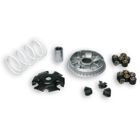 Variador Multivar Malossi PIAG. X7/X8/X9 200-250 MP3 250-300 5111885