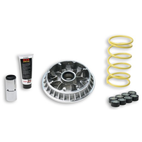 Variador Multivar Malossi SUZ. BURGMAN 400 07-09 5114263