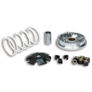 Variador Multivar Malossi HONDA VISION 50 4T IE 5115209