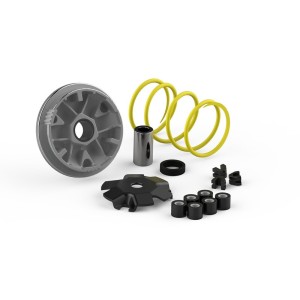 Variador Malossi Multivar Honda SFX SH SXR 50