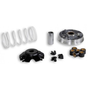 Variador Malossi Multivar 2000 Honda 100