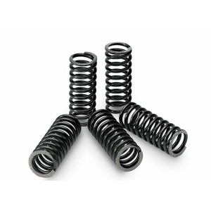 Kit de muelles de embrague TECNIUM