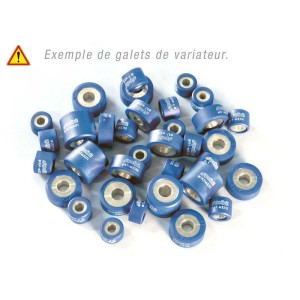 Rodillos de variador POLINI 25x21,8mm 16,3gr - 8 piezas