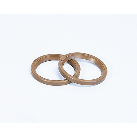 RETENES Variador Polini MAXI SCOOT.D.31 (242037)