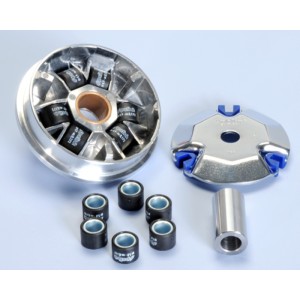 Variador Polini PEUGEOT 50 LUDIX-J.F.CAR. (241632)