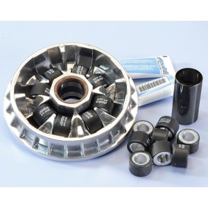 Variador Polini PIAGGIO GILERA 500 8RODIL. (241636)