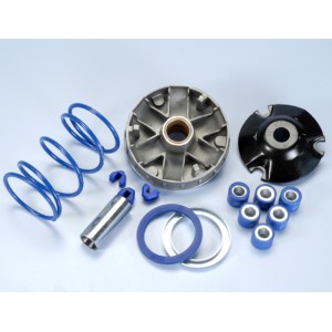Variador Polini HI-SPEED PIAGGIO ZIP,QUARTZ (241672)