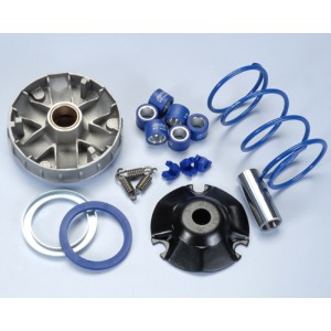 Variador Polini Hi-Speed PIAGGIO ZIP 50 4T (241674)
