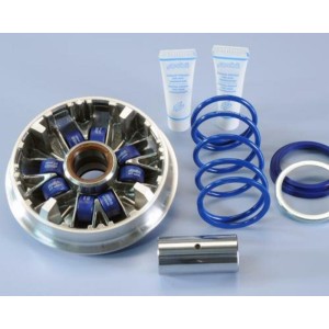 Variador Polini YAMAHA MAJESTY 400-2009 (241693)