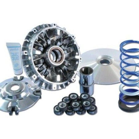 Variador Polini HI-SPEED YAM.T-MAX 500 12 ROD. (241696)