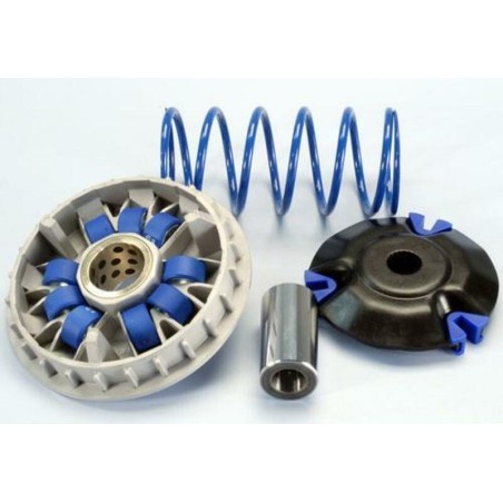 Variador Polini HONDA 125 PCX 9 RODILLOS (241697)