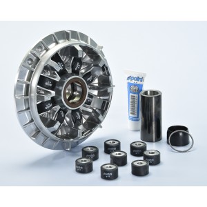 Variador Hi-Speed Polini, 8 rodillos, - Yamaha T-max
