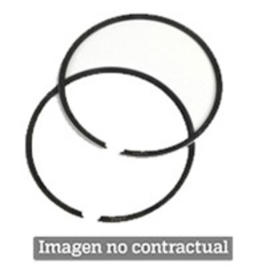 SEGMENTO POLINI D.61X1,5 (206.0190)