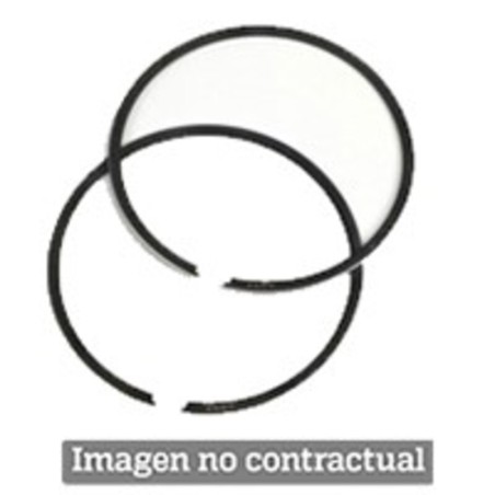 SEGMENTO POLINI D.61X1,5 (206.0190)