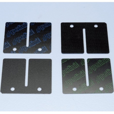 Láminas de carbono Polini para 213.0036/42/44 (2130526)