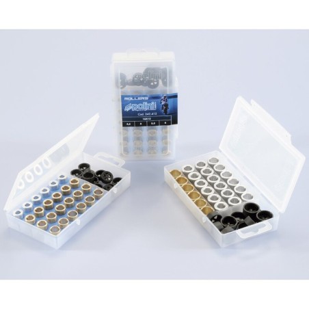 Caja de rodillos POLINI 16x13mm 2,5-3-3,5-4gr - 24 piezas