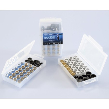 Caja de rodillos POLINI 16x13mm 5,5-6-6,5-7gr - 24 piezas
