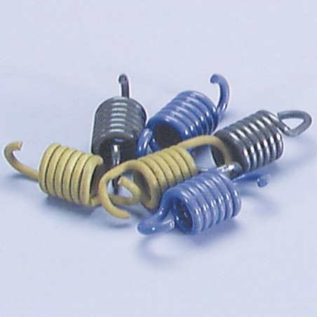 Kit de muelles de embrague POLINI
