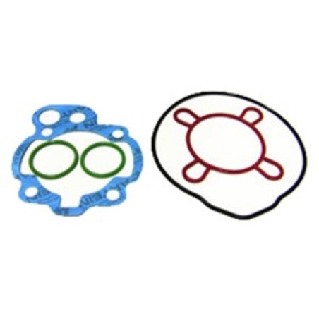 Kit juntas de cilindro ARTEIN - Minarelli AM6 (00-)