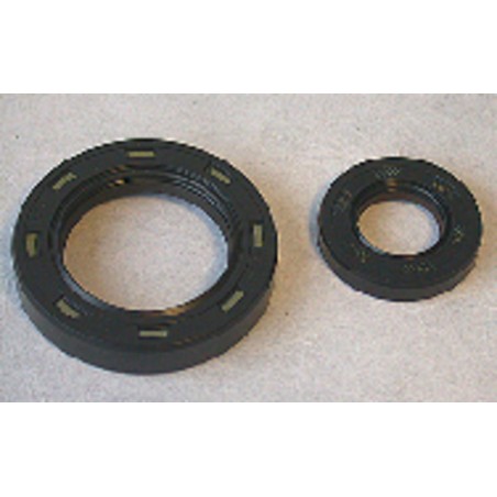 Kit de retenes de motor CENTAURO