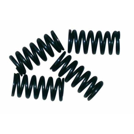 Kit de muelles de embrague NEWFREN