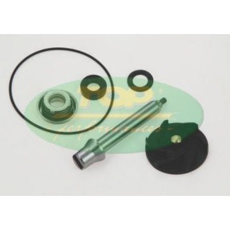 Kit reparación bomba de agua TOP PERFORMANCES DOWNTOWN 125