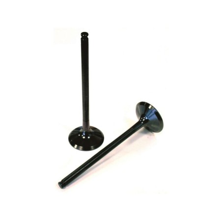 Válvula de escape de titanio VERTEX